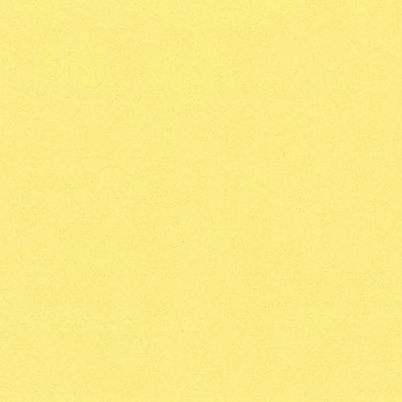 POLYCOLOR GIALLO BRILLANTE 074 ML.140