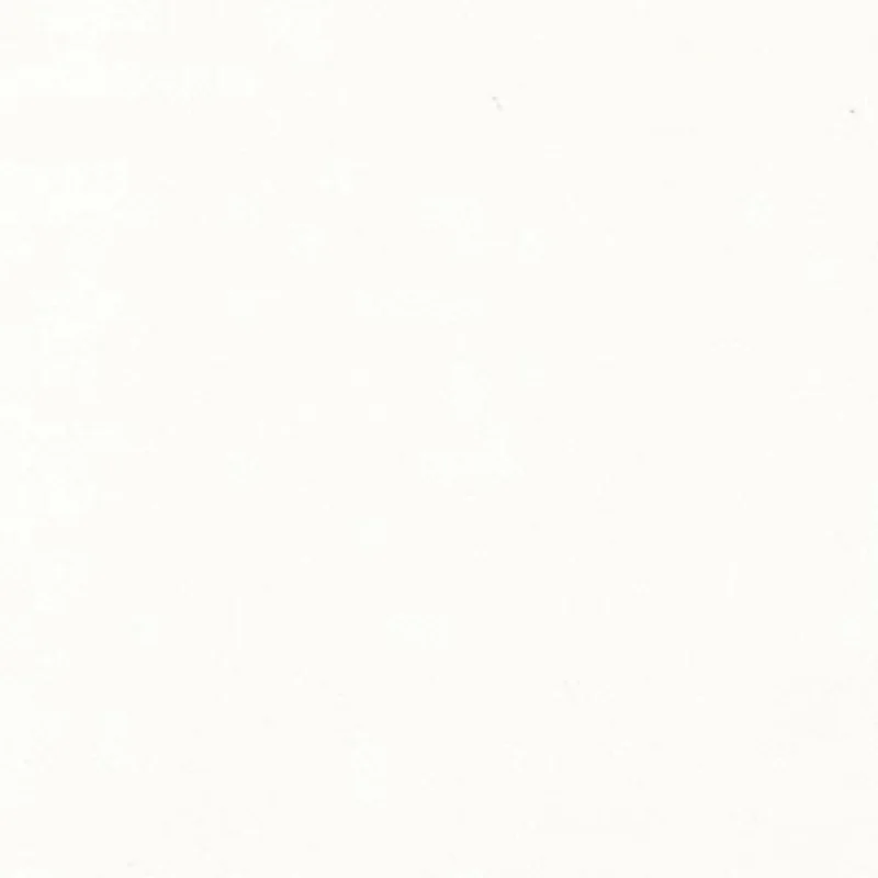 POLYCOLOR BIANCO DI TITANIO 018 M1220018 ML.140