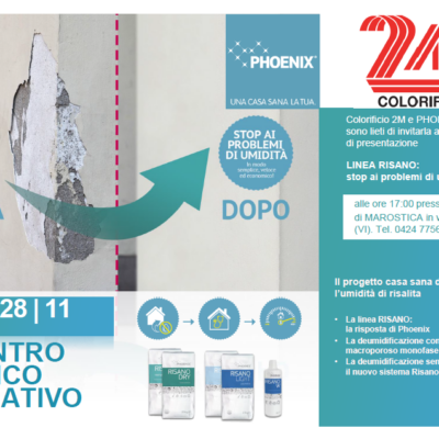 Sistemi_di_risanamento_phoenix